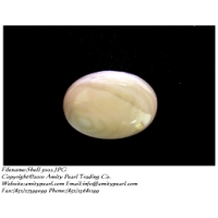Shell 5002.JPG